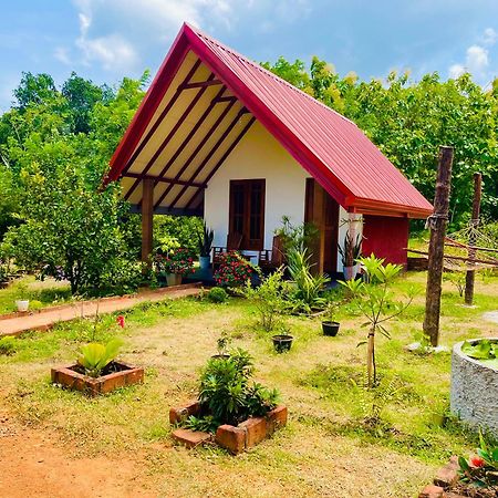 Sigiri Enaya Cottage Sigiriya Eksteriør bilde
