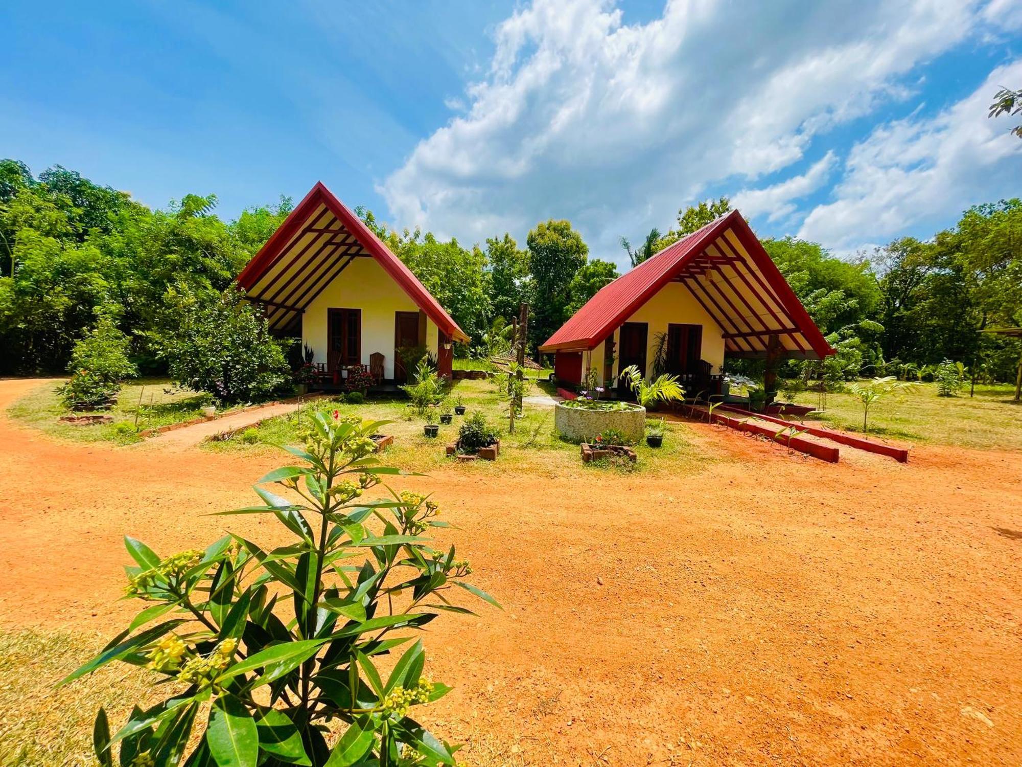 Sigiri Enaya Cottage Sigiriya Eksteriør bilde