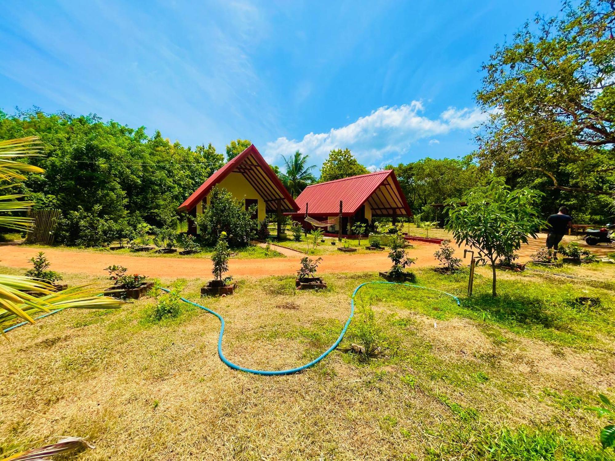 Sigiri Enaya Cottage Sigiriya Eksteriør bilde