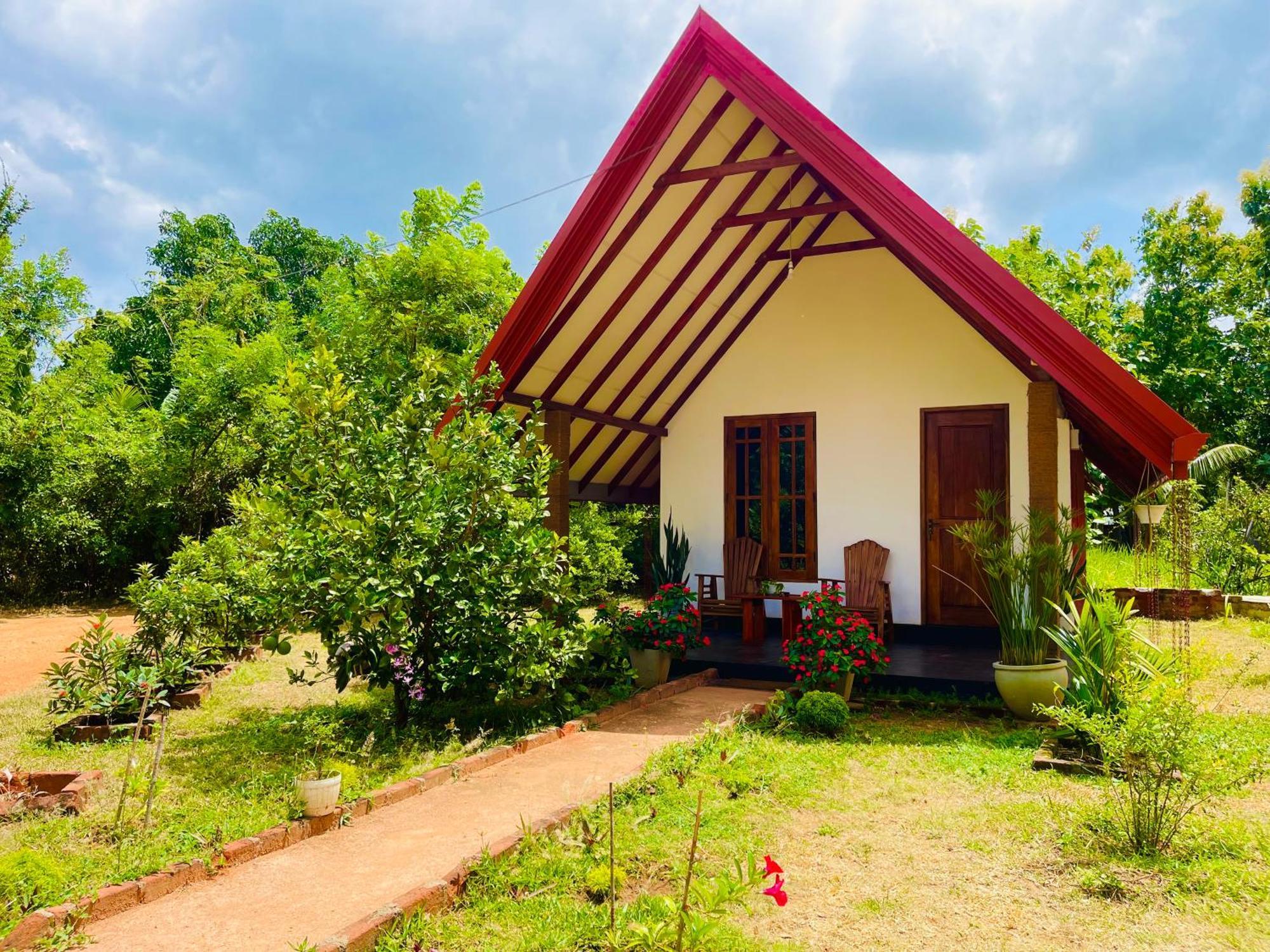 Sigiri Enaya Cottage Sigiriya Eksteriør bilde